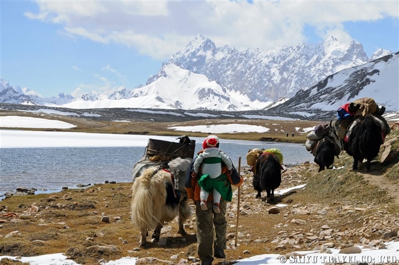 Shimshal Pamir シムシャール・パミール  あなたもクッチ？私もクッチ。